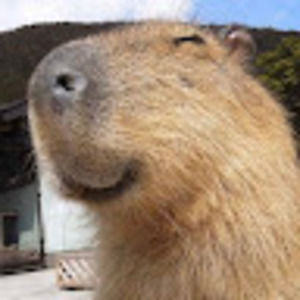 Meet your Posher, Basil